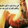 rbhvip