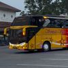 pecinta_bus6