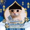 ajm_281