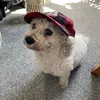 bustermcinthehouse