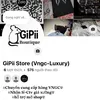 gipiistore.silevngc