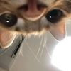 howtobemiaw
