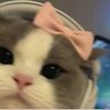 aaayyayu