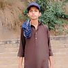 rajahaider481