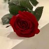 ❣️🌹
