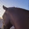 lj_0.7