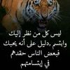 samirshebel1gami