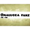 maluccca_fanz