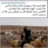 hibahalwi