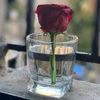 moazalahmad1