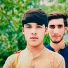 hamidjani831