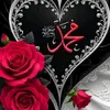 xanm_gyan.1