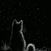 ele_smile95