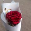 user771520701