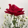 nevesviana0701