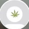 meijuana