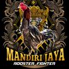 mandirijayarooster02