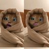 cuteebearss0