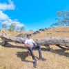 arbo_bnp
