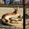 kuu_00321