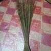 sapu424