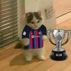 cangre_burguito12