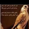 mg_ks1