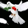 didireffan_