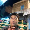toanpham5046