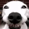 fsthsaccbropmfb.10