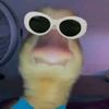 _vh19_