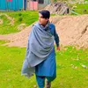 mhussainlashari79