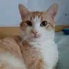 veroniquepohu
