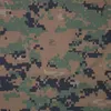 c_e_d_r_i_c_a_b_a_l_o_s