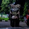 grevy49