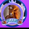 abo922d