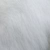john_nassy