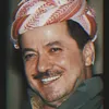 hemn_adil