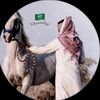aafif016