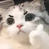 dangtuan_2802