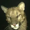 mohammed_alahmed08