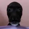 weloveluci