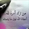 user16109962