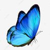 عهود العسيري🦋