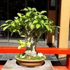 margaritaaguero3
