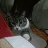 denisse01012009