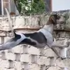 daefernal