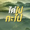 phayao.omg