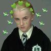 westanfordraco