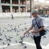 yanacpigeons